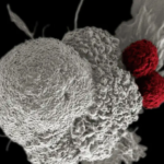 media 167583954442474700.png